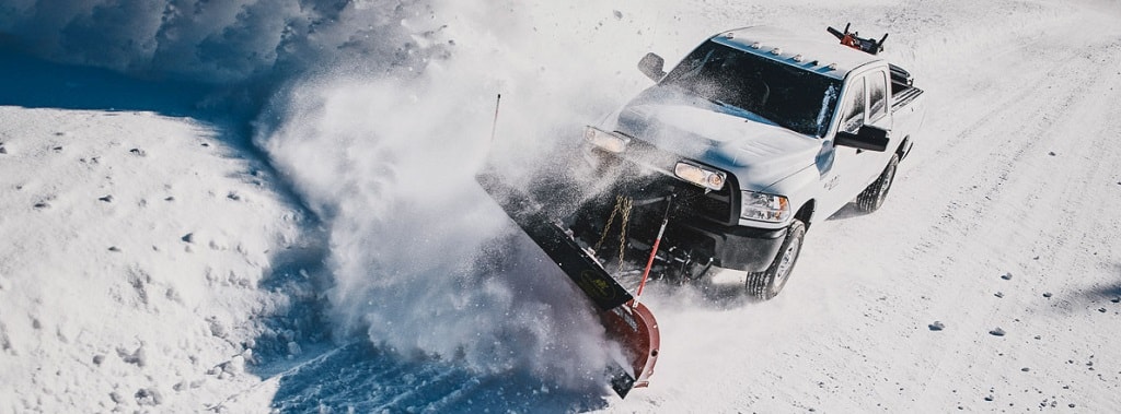 Ram Rebel In Snow