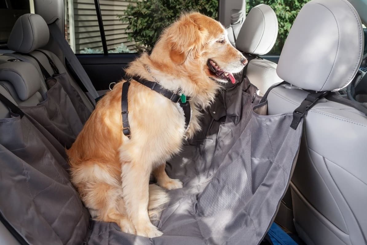 dog car hammock