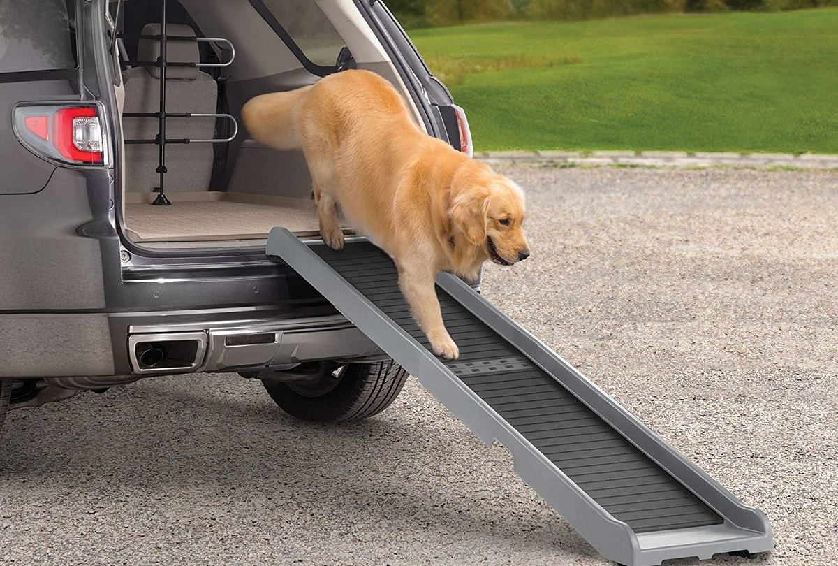 best dog ramp for car