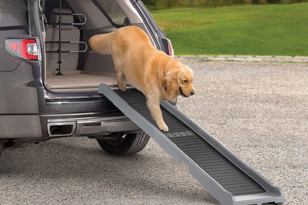 best-dog-ramp-for-car